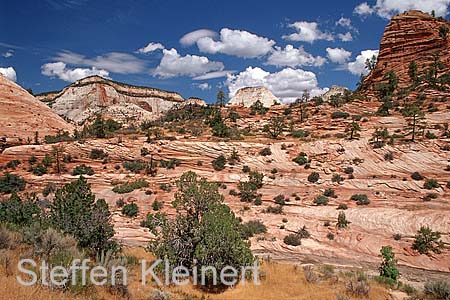 zion np - national park usa 038